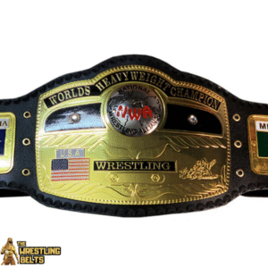 NWA World Tag Team Championship Mini Wrestling Replica Title Belt