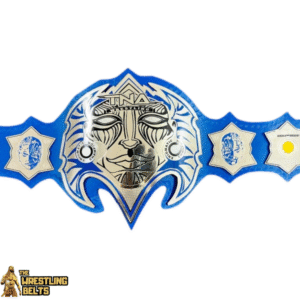 Jeff Hardy TNA Heavyweight Wrestling Championship Title Belt Replica