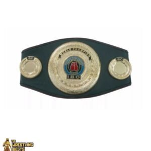 IBO (International Boxing Organization) Championship Replica Belt Adult size