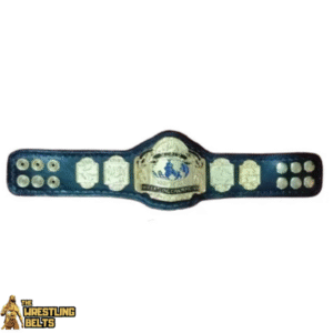 NWA USA Tag Team Wrestling Championship Belt