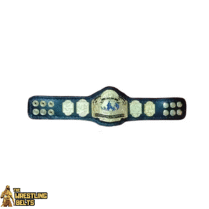 NWA Wisconsin State Tag Team Wrestling Champion Belt – The Re-Gex & Spanish Stew Edition