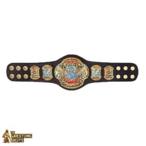 ECW world heavyweight championship belt kids replica