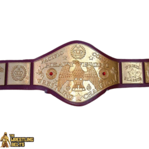 NWA World Six Tag Team Wrestling Championship Leather Belt