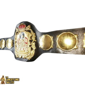 NWA World Tag Team Championship Belt