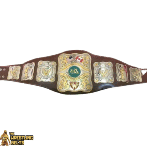 Old NWA International Heavyweight Wrestling Champion Belt
