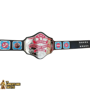 Old NWA Oriental Tag Team Championship Belt – Namhyaesan Wrestling Champion Oh Tae Tribute Edition