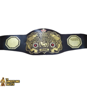 Southeast Georgia Wrestling Champion Belt – NWA World Heavyweight Championship Old School Tribute