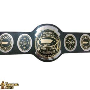 AWA Southern Heavyweight Dual Plated Championship Replica Title Belt