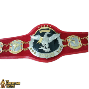 New NWA TELEVISION Heavyweight Wrestling Championship Belt – Black Replica – Thick Metal Plates – Adult Size