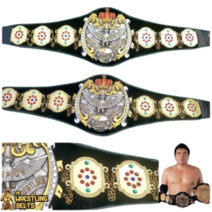 Florida Tag Team Heavyweight Wrestling Champion Belt – NWA The Medics & Hiro Matsuda Edition