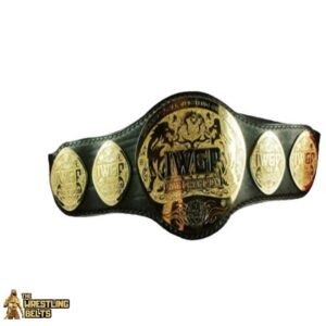 IWGP Heavyweight Tag Team Champions Belt