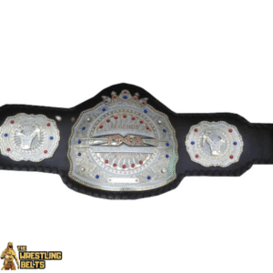 TNA X Division Wrestling Championship Belt