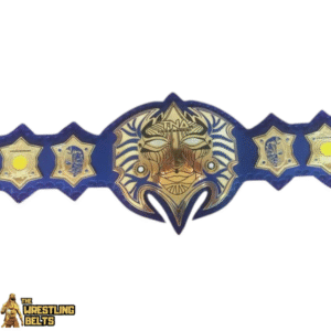 TNA Jeff Hardy Wrestling Championship Replica Title Belt