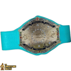 NWA Georgia Television Champion Belt