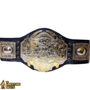 TNA United States Wrestling Championship Title Belt