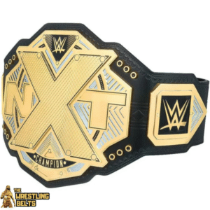 NXT Tag Team Championship Belt Mini Replica Title